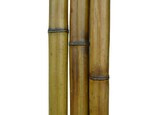 Ствол бамбука D 20-30мм зеленый
