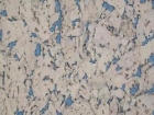 RY1C001 ALABASTER NAVY